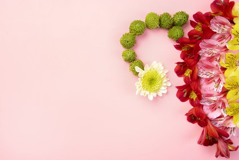 beautiful-flower-still-life-ovary